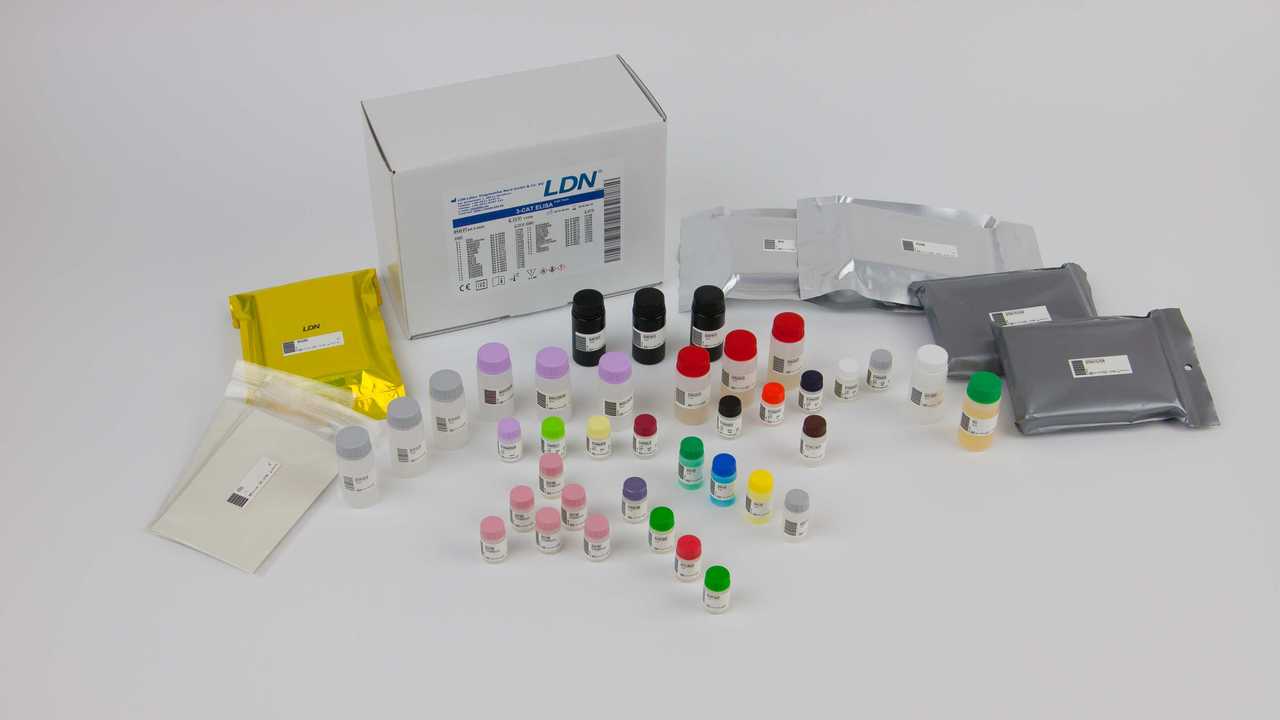 3-CAT ELISA Fast Track Kit from Rocky Mountain Diagnosics and LDN
